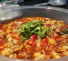 跳水牛蛙