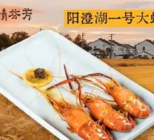 Yangcheng Lake No.1 Shrimp