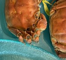 Yangcheng Lake Crab
