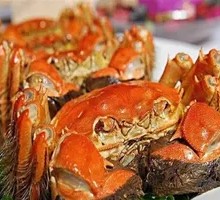 Yangcheng Lake Crab