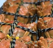 Freshwater Crab