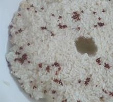 Homemade Osmanthus Rice Wine