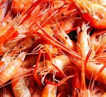Saltwater Shrimp