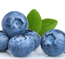 Fresh Blueberry Candy Apples