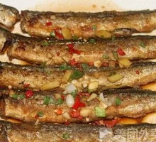 Mackerel