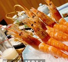Argentine Red Shrimp