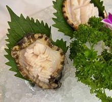 Small Abalone