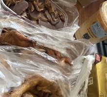 Goose Feet