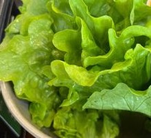Lettuce leaf