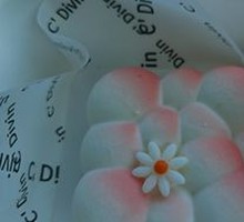 Coconut Peach Cloud
