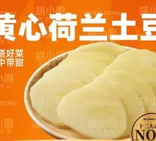 Yellow Dutch Potato