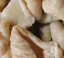Intestine