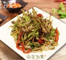 Double Pepper Hairfish