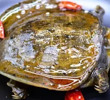 Spicy and Fresh Softshell Turtle