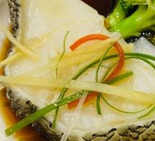 Atlantic Cod