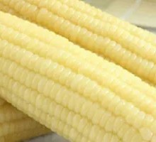 Sweet Corn on the Cob