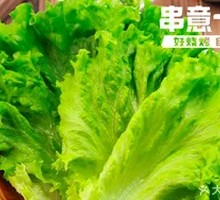 Lettuce