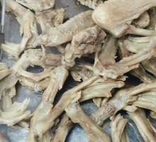 Duck Feet