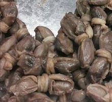Duck gizzard