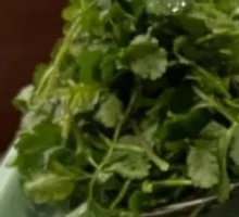 Cilantro