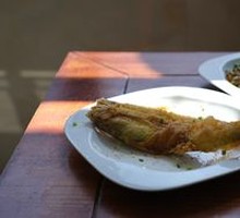 Golden Croaker