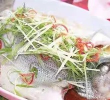 Steamed Sea Bass