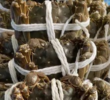 Steamed Freshwater Crab