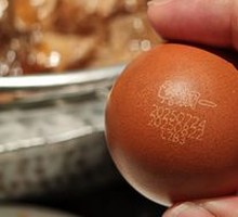 Sterile Egg