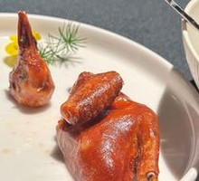 Premium Pigeon