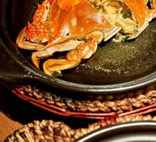 Spider Crab