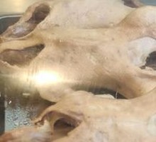 Braised Goose with Head