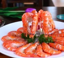 Argentine Red Shrimp