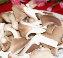 Enoki Mushroom