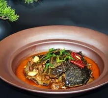 Shijie Shaha Turtle