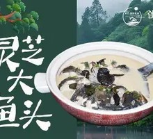 Ganoderma Fish Head