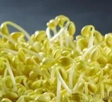 Mung Bean Sprouts
