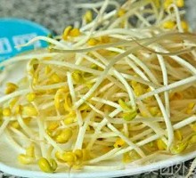 Mung Bean Sprouts