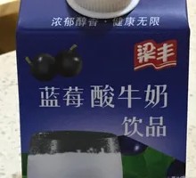 Blueberry Yogurt