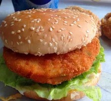 Vegetable Burger