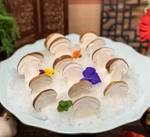 King Oyster Mushroom