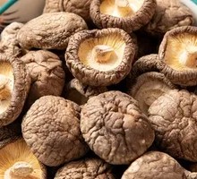 Shiitake Mushroom
