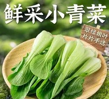 Fresh Small Green Vegetables