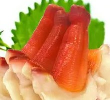 Orchid Clam