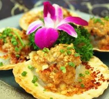 Scallop