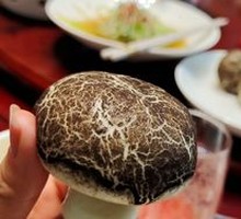 Mushroom Dumpling