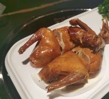 Premium Pigeon