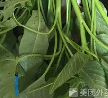 Water Spinach