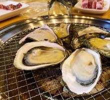 Plump Oyster