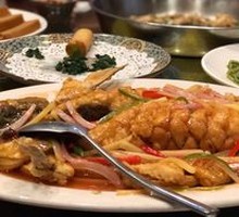Five Willow Fish