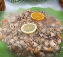 Scallop Meat